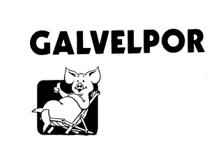 GALVELPOR logo
