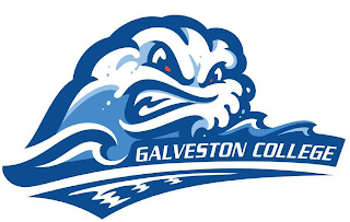 GALVESTON COLLEGE logo
