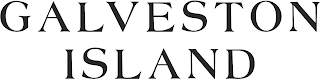 GALVESTON ISLAND logo