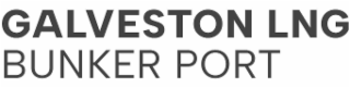 GALVESTON LNG BUNKER PORT