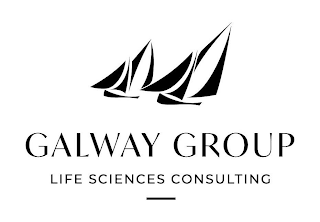 GALWAY GROUP LIFE SCIENCES CONSULTING logo