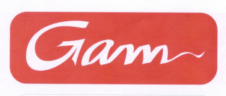 GAM logo