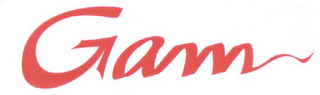 GAM logo