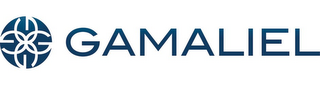 GAMALIEL logo