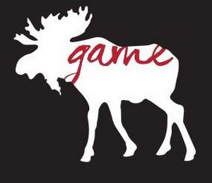 GAME logo