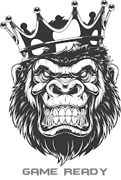 GAME READY logo