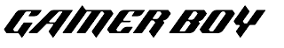 GAMER BOY logo
