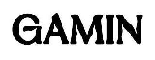 GAMIN logo