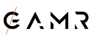 GAMR logo