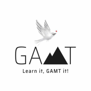 GAMT LEARN IT, GAMT IT! logo