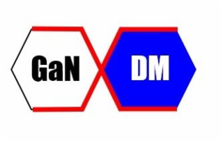 GAN DM logo