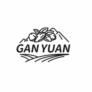 GAN YUAN