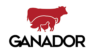 GANADOR logo