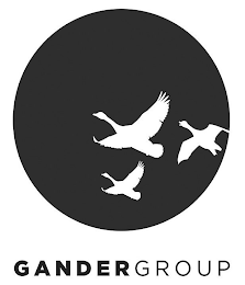 GANDERGROUP logo