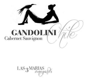GANDOLINI CABERNET SAUVIGNON CHILE LAS 3 MARIAS VINEYARDS logo