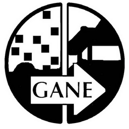 GANE logo
