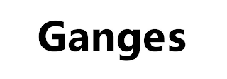 GANGES logo