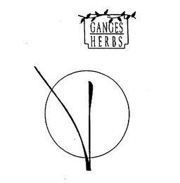 GANGES HERBS logo