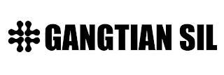 GANGTIAN SIL logo