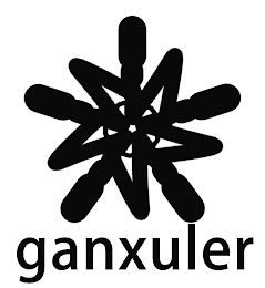 GANXULER logo