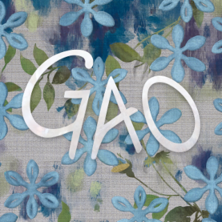 GAO logo