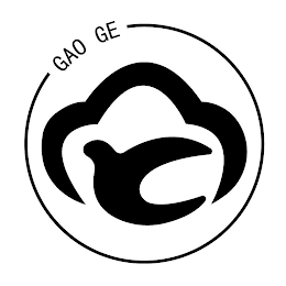 GAO GE logo