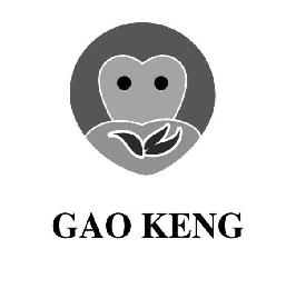 GAO KENG logo