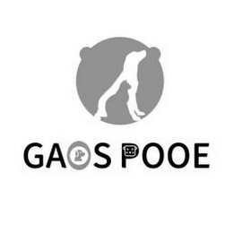 GAOSPOOE logo