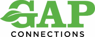 GAP CONNECTIONS logo