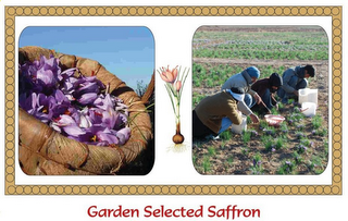 GARDEN SELECTED SAFFRON logo