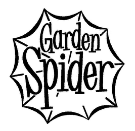 GARDEN SPIDER