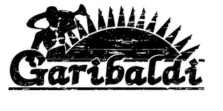 GARIBALDI logo