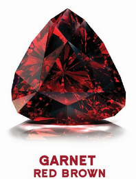 GARNET RED BROWN logo