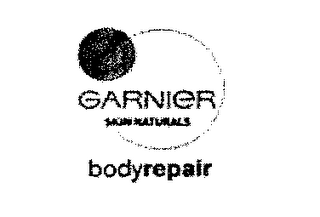 GARNIER SKIN NATURALS BODYREPAIR logo