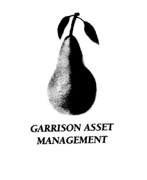 GARRISON ASSET MANAGEMENT logo