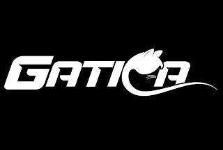 GATICA logo