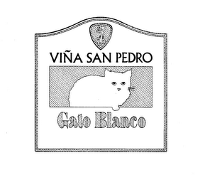 GATO BLANCO VINA SAN PEDRO logo
