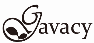 GAVACY logo