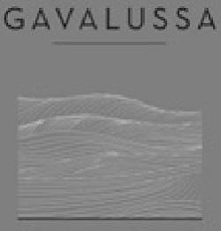 GAVALUSSA logo