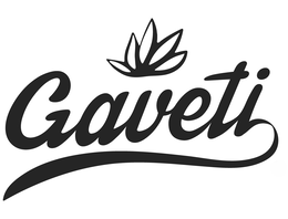 GAVETI logo