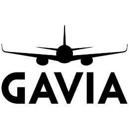 GAVIA logo