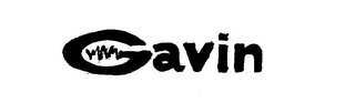 GAVIN logo