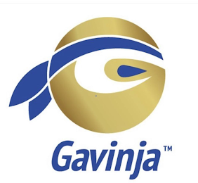 GAVINJA logo