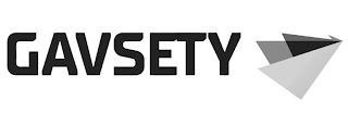 GAVSETY logo