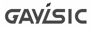 GAYISIC logo
