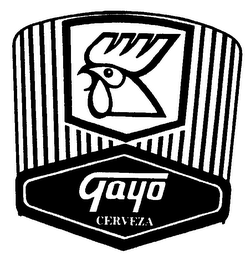 GAYO CERVEZA logo
