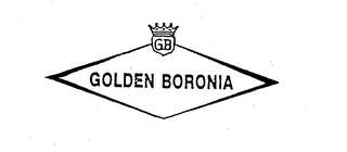 GB GOLDEN BORONIA logo