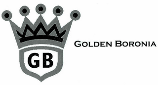 GB GOLDEN BORONIA logo