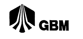GBM logo