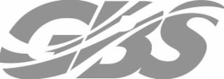 GBS logo